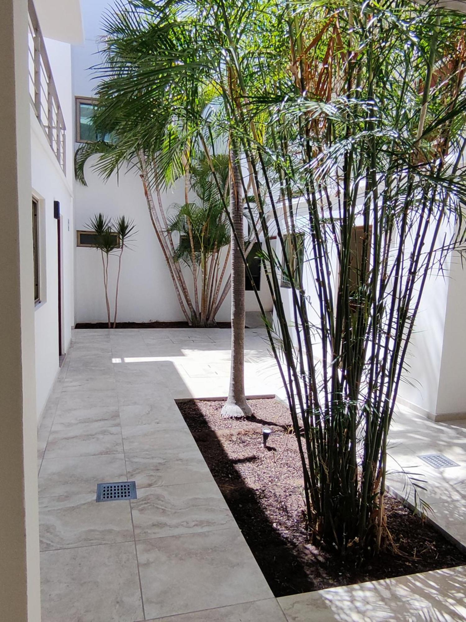 לה פז Hotel Lorimar מראה חיצוני תמונה